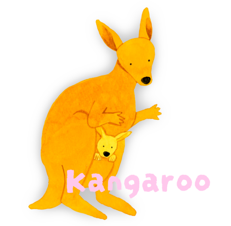 カンガルー