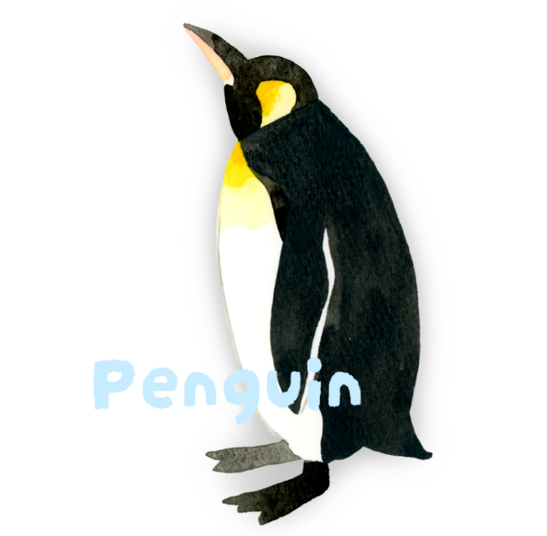 ペンギン